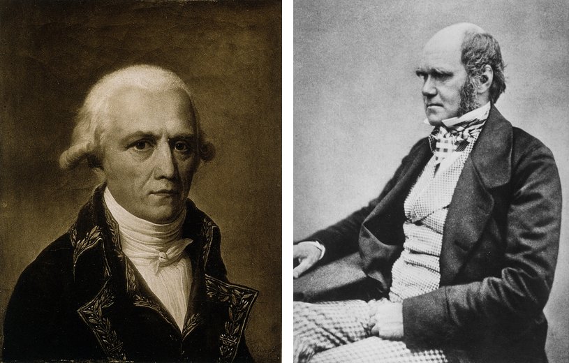 Dos retratos en blanco y negro, uno junto al otro. A la izquierda, Lamarck de busto, de frente, con el pelo blanco y una casaca oscura con bordados en el cuello. A la derecha, Darwin sentado, de perfil, calvo y con patillas, con chaqueta oscura y chaleco claro.